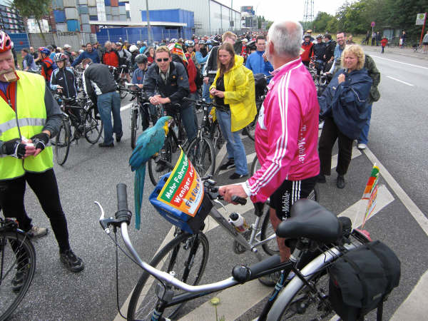 Fahrradsternfahrt Hamburg Tierfreund23 832